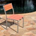Casimir Stainless Steel Frame Armless Dining Chairs (Set of 2)