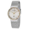 Skagen Men's 'Mesh' Stainless Steel Quartz Date Watch