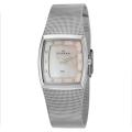 Skagen Women's 'Mesh' Stainless Steel Swarovski Crystals Quartz Watch
