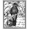 Magenta 'Hummingbird Collage' Cling Stamps
