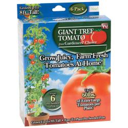 As Seen On TV Giant Tree Tomato (Case of 24)