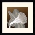 'Ruffled Elegance' Framed Art Print