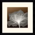 'Sheer Delicacy' Framed Art Print