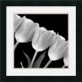 Tulip Line' Framed Art Print