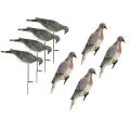Edge by Expedite 8-pack Feeder and Clip-on Dove Decoys