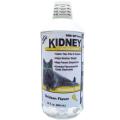 Cool Cat Holistic Chicken Flavor Kidney Formula Supplement