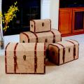Map-Themed Storage Cases (Set of 4)