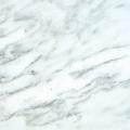 Arabescato Carrara 18x18-inch Tile (Pack of 5)