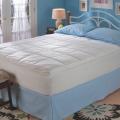 Sealy 2-inch Latex Topper with Zip Cover Twin/ Full-size