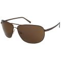 Calvin Klein CK7425S Men's Aviator Sunglasses