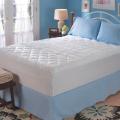 Sealy Cotton Lumbar Support Twin/ Full-size Mattress Pad