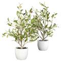 Olive Silk Tree with Vase (Set of 2)