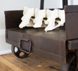 Iron Industrial 4-shelf Bookcase (India)