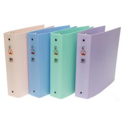 Heavy-duty Poly Plastic 2-inch Binders in Assorted Colors (Pack of 12)