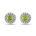 14k White Gold 3/5ct TDW Yellow and White Diamond Earrings (G-H, SI1-2)