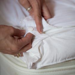 Ultimate Mattress Makeover Kit Queen/ King/ Cal King-size Feather Bed and Topper Set
