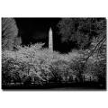 Lois Bryan 'The Washington Monument at Night' Canvas Art