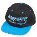 Carolina Panthers Retro NFL Snapback Hat