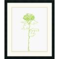 Filippo Ioco 'A Chrysanthemum II' Framed Art Print