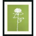 Filippo Ioco 'A Chrysanthemum I' Framed Art Print