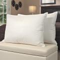 Famous Maker Egyptian Cotton Down Alternative Pillows (Set of 2)