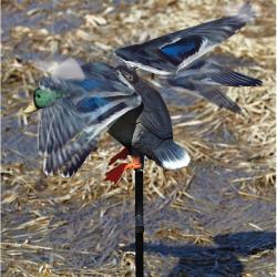 Edge by Expedite Rapid Flyer Lucky Duck Decoy