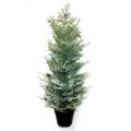 Good Tidings Potted Common Juniper Snow Tree