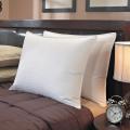 Famous Maker 305 Thread Count High Loft Pillows (Set of 2)