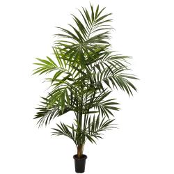 7 ft Kentia Palm Silk Tree