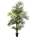7 ft Kentia Palm Silk Tree