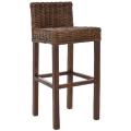 St. Thomas Indoor Wicker Brown Bar Stool