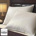 Famous Maker Premier 600 Fill Power Pyrenees Down Triple Chamber Pillows (Set...