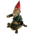 Michael Carr Garrold Gnome On Turtle