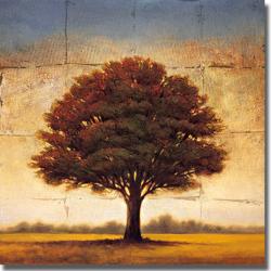 Gregory Williams 'Splendor I' Canvas Art