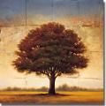 Gregory Williams 'Splendor I' Canvas Art