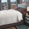 Radiance 700 Thread Count Oversized Down Alternative Comforter