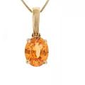 14k Yellow Gold Spessartite Necklace