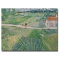 Vincent van Gogh 'Auvers after the Rain, 1890' Canvas Art