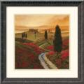 Thomas Mcgrath 'Poppies' Framed Art Print