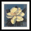 Curtis Parker 'Glowing Magnolia' Framed Art Print