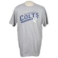 Reebok Indianapolis Colts Grey Team T-shirt