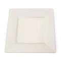 Silver Edge Square Plastic 9.5-Inch Plates (Set of 10)