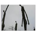 Kate Walsh, 'Towering' Canvas Art