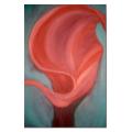 Kate Walsh, 'Escape' Canvas Art