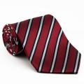 Platinum Ties Men's 'Red Power' Tie Necktie