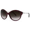 Calvin Klein Women's Fashion Sunglasses