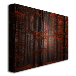 Philippe Sainte-Laudy 'Spiritual Wood' Canvas Art