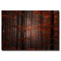 Philippe Sainte-Laudy 'Spiritual Wood' Canvas Art