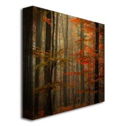 Philippe Sainte-Laudy 'Fall' Canvas Art