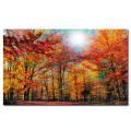 Philippe Sainte-Laudy 'Camouflage' Canvas Art